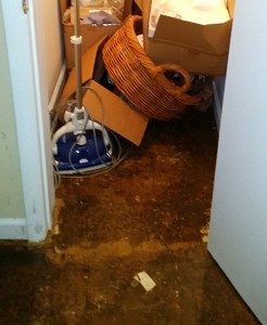 water cleanup baltimore md